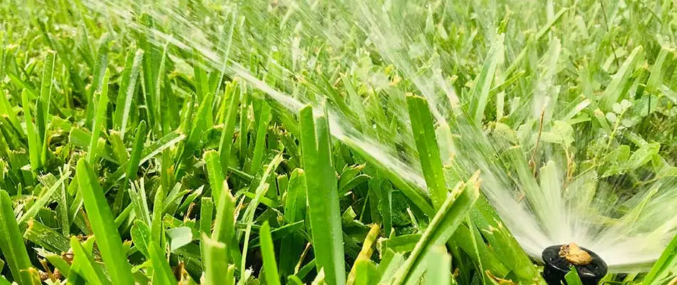 A sprinkler watering the lawn in Detroit Lakes, MN.