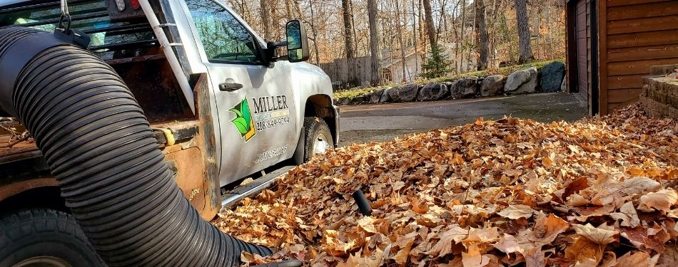 A property in Detroit Lakes receiving their fall leaf removal cleanup