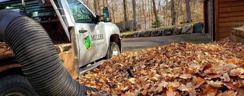 A property in Detroit Lakes receiving their fall leaf removal cleanup