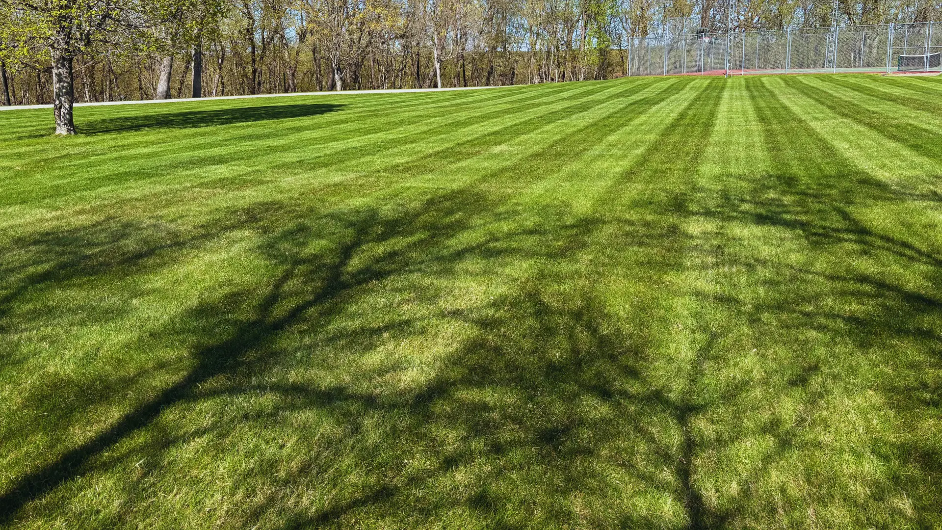 Beautifully mowed property in Detroit Lakes, MN.